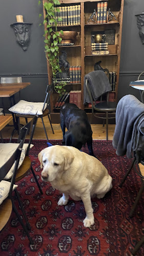 Comentarii opinii despre Petites Bulles