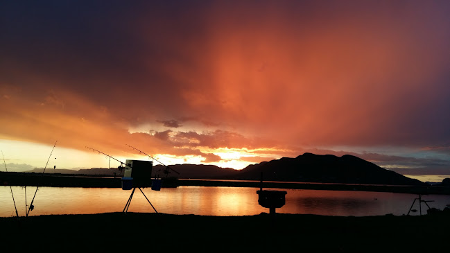 Portugalia Bar & Restaurant - Hospitality and gastronomy