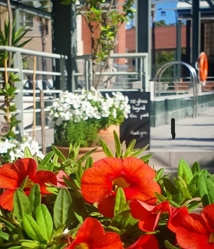 Pool Caffe - Cape Town