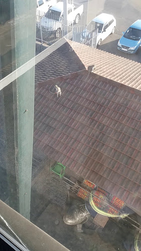 Dros - Hospitality and gastronomy