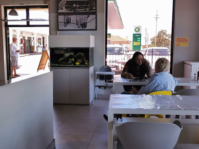 Snoekies,Frozen Fish Market & Fish Bait - Hospitality and gastronomy