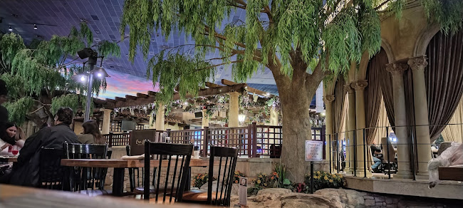 Comentarii opinii despre Casa Bella Montecasino