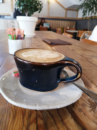 SCHOON The Point - Cape Town