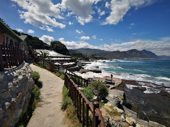 Bientang's Cave Restaurant & Wine Bar - Hospitality and gastronomy