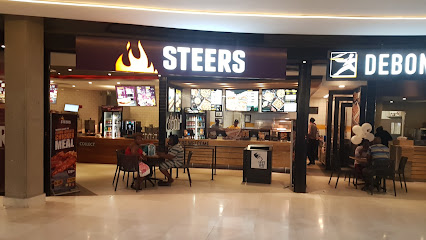 Steers