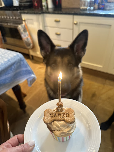 Comentarii opinii despre Hound & Home Dog Bakery