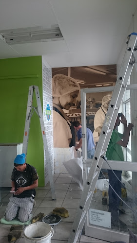 Comentarii opinii despre Amazing Pies