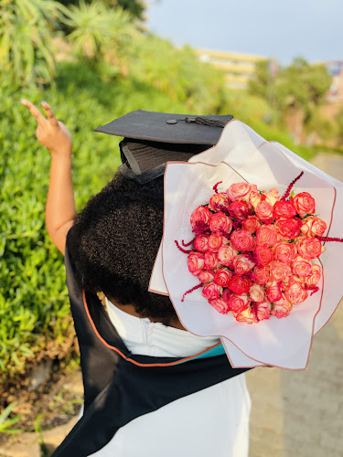 Mimosa Blomme - Johannesburg