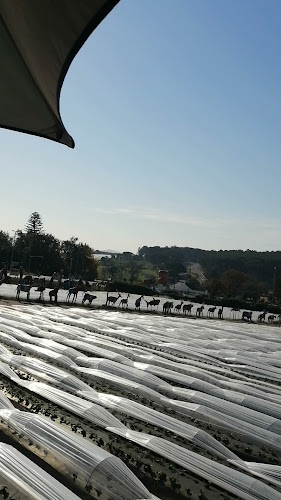 Opinii despre Scarecrow Organics CC în Stellenbosch - Hospitality and gastronomy