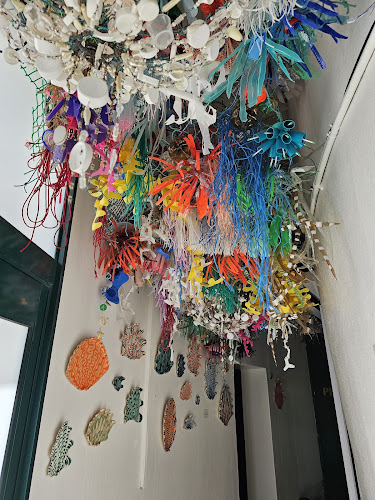 Salsify at the Roundhouse - Cape Town