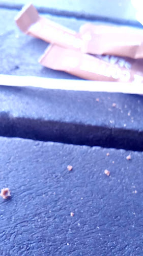 Seattle Coffee Company - Pretoria