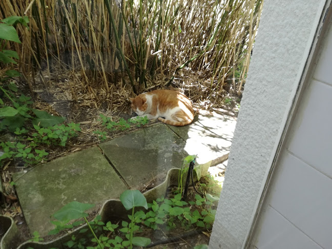 Big 5 Pub - Hospitality and gastronomy