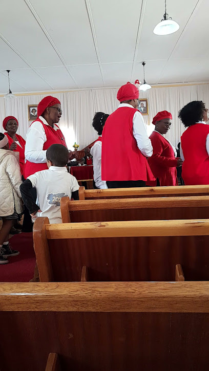 Fabulous Frosting Creations