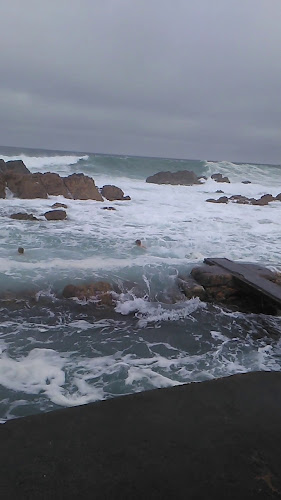 Big Blu Restaurant - Hospitality and gastronomy