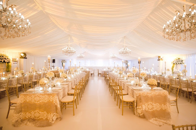 By Word of Mouth - Frozen for you - Sandton