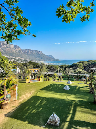 Salsify at the Roundhouse - Cape Town