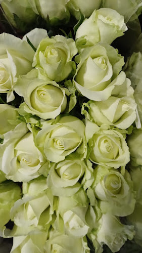 EC Flower Market - Rustenburg