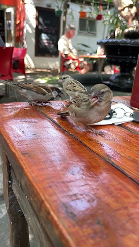 St. Clements Restaurant - Durban