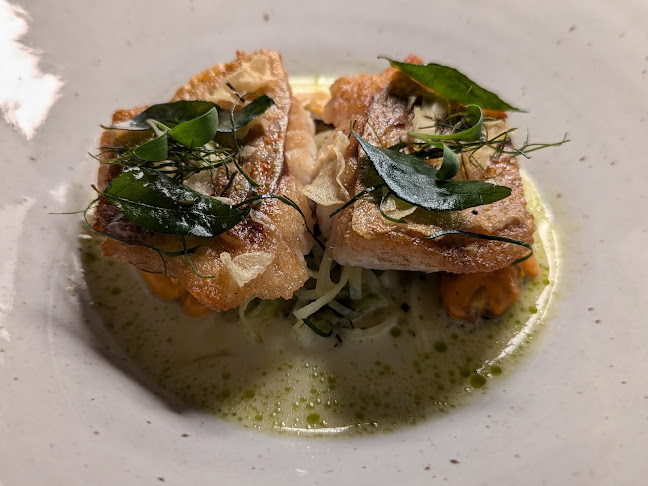 Comentarii opinii despre Salsify at the Roundhouse