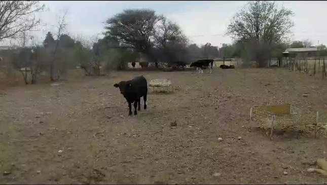 Burger King Walmer (Drive-Thru)