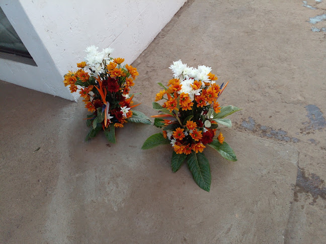 Comentarii opinii despre Neo flower Expect