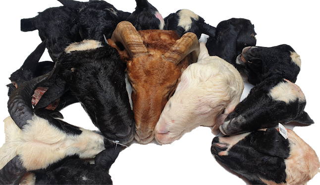 De Hoek Restaurant - Polokwane