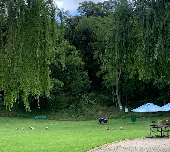 Magnolia Dell Park c/o Florence Ribeiro and Nicolson, Brooklyn, Pretoria, 0181