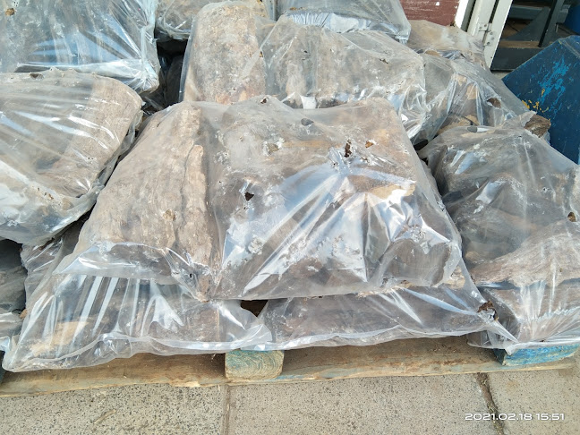 349 Franzina St, Eloffsdal, Pretoria, 0084