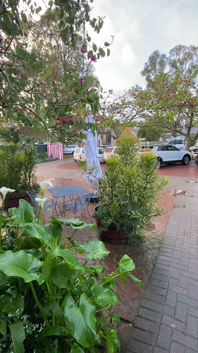 Brioche Food and Coffee - Gqeberha