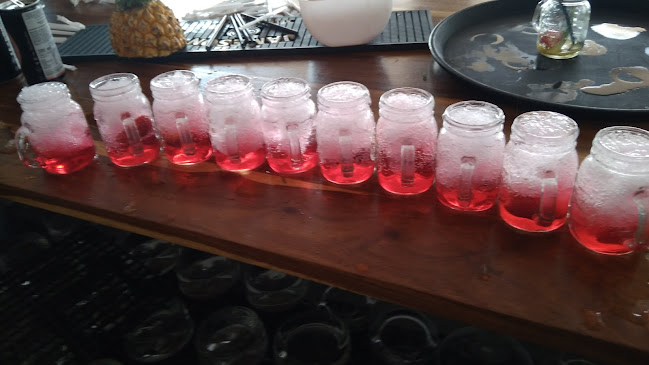 Cielo Restaurant - Hospitality and gastronomy