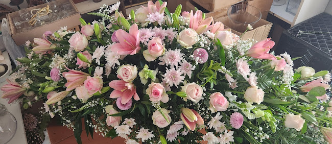 Colour Country Flowermarket - Krugersdorp