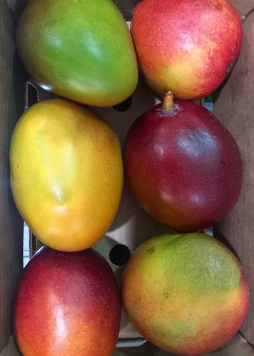 EVAN AND SONS SHOP - Hospitality and gastronomy