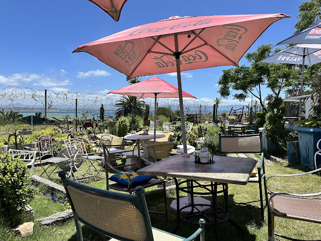 Opinii despre The Blue Shed Coffee Roastry în Mossel Bay - Hospitality and gastronomy