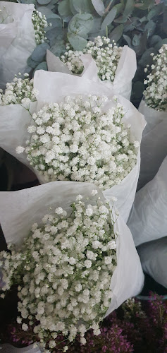 Comentarii opinii despre Colour Country Flowermarket