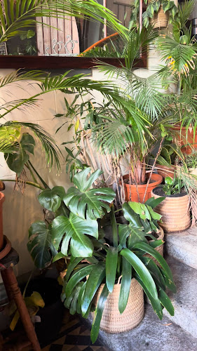 Heaven Coffee Shop - Hospitality and gastronomy