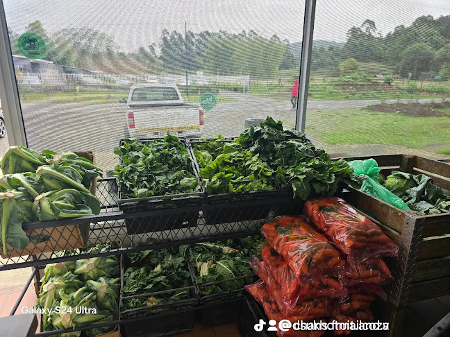 Opinii despre Chans fruit and veg în Pietermaritzburg - Hospitality and gastronomy