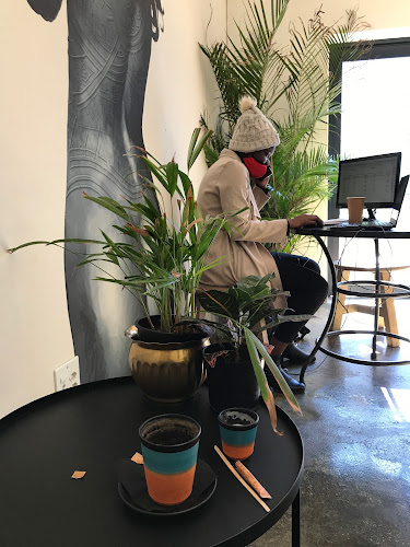 Comentarii opinii despre Vice