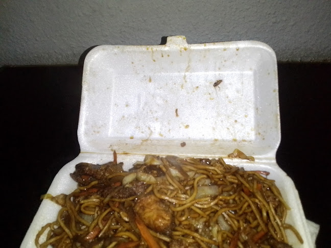 Maggie's Chinese Restaurant & Sushi Bar - Hospitality and gastronomy