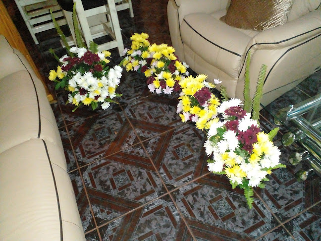 Neo flower Expect - Johannesburg