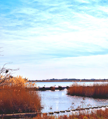 River Café - Hospitality and gastronomy