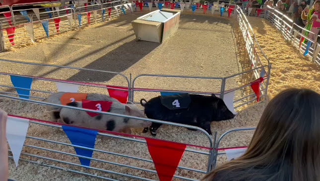 Rodeo Spur Halaal - Hospitality and gastronomy