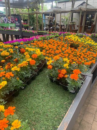 Comentarii opinii despre Moka Coffee Roasters - Joostenberg Vlakte