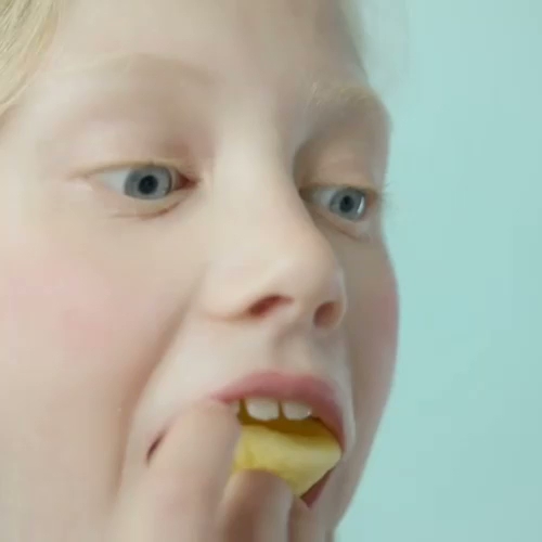 THE BITE - Hospitality and gastronomy