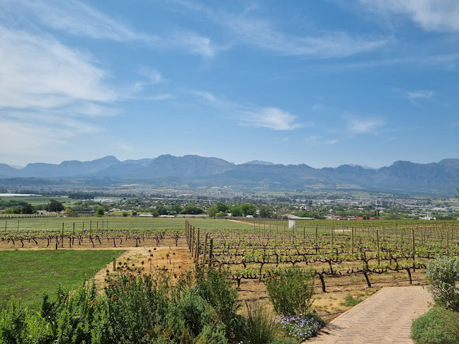 Blacksmith's Kitchen - Hospitality and gastronomy