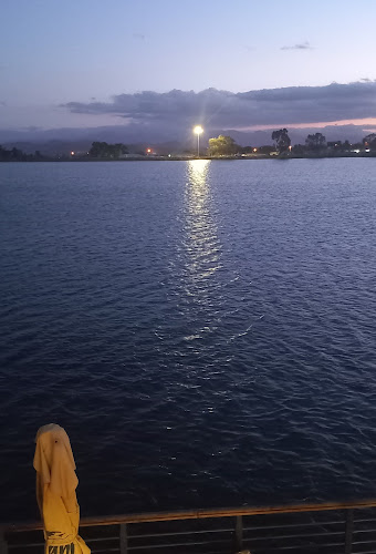 DAM Pub and Diner. - Hospitality and gastronomy