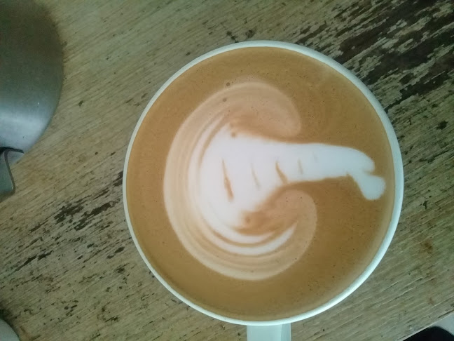 Arbour Café & Courtyard - Hospitality and gastronomy