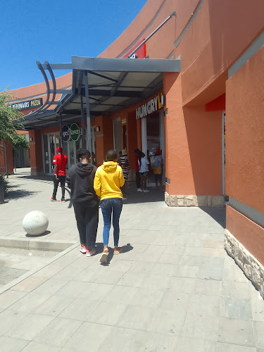 HUNGRY LION - Hospitality and gastronomy