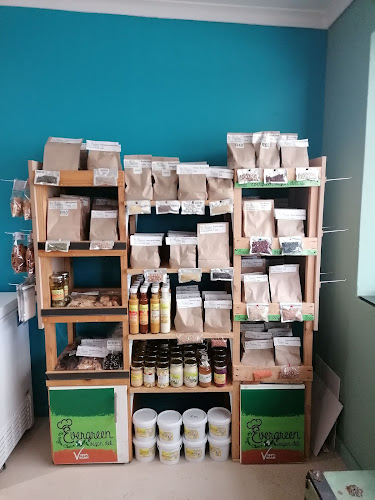 Evergreen Vegan deli - Hospitality and gastronomy