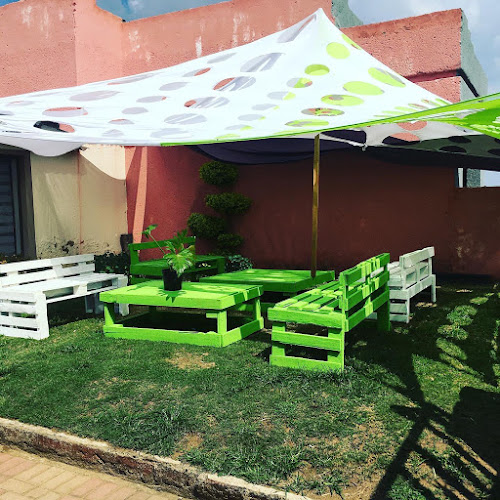 The Bird Feast - Johannesburg