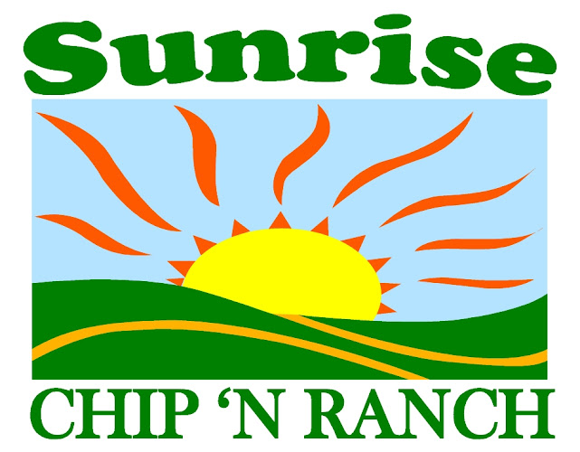 Sunrise Chip 'N Ranch - Hospitality and gastronomy